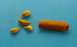 Canela y semillas de Cardamomo