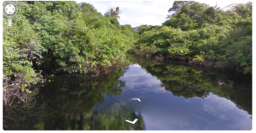 Google maps