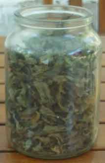 Frasco de hierbabuena con hojas secas
