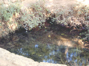 Nacimiento de las fuentes