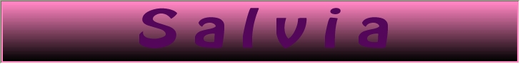 Logo Salvia