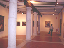 Museo Lopez Villaseñor