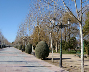 Parque a Gasset calle central en Ciudad Real