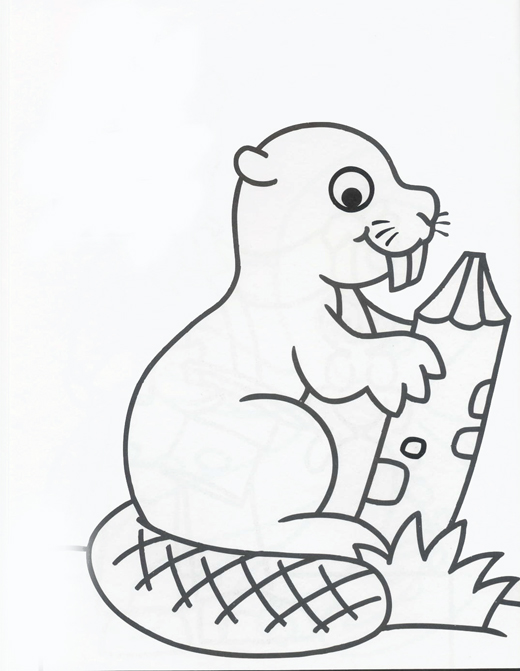 Castor