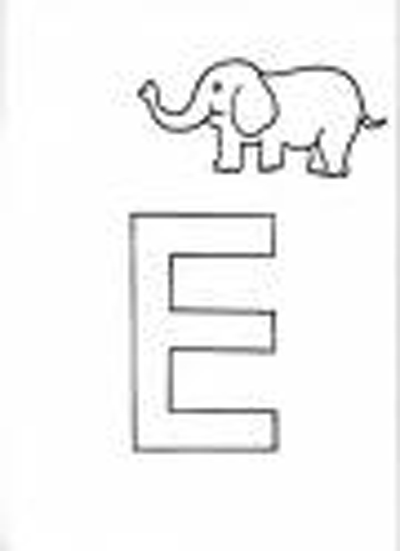 E de Elefante