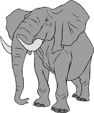 Elefante