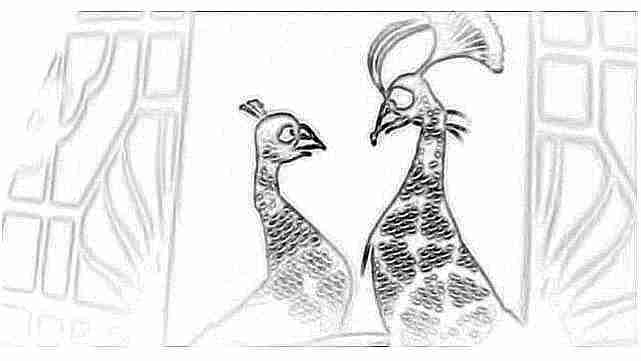 Pavos reales