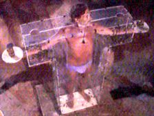 Cucarachas y cangrejos del manglar con Marc