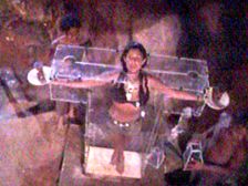 Maria y las cucarachas,juntas con cangrejos del manglar