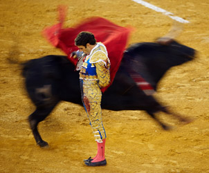 José Tomás