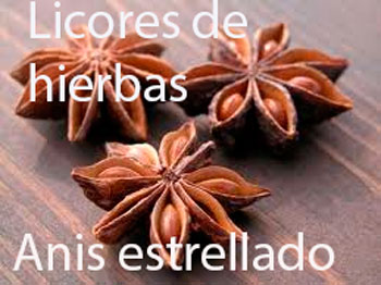Licores de hierbas