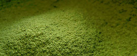 Té Matcha 
