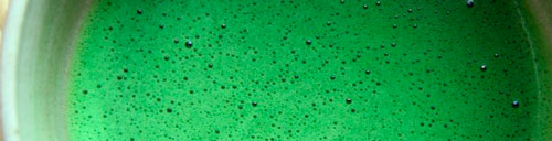 Matcha