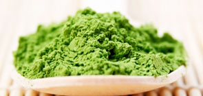 Matcha
