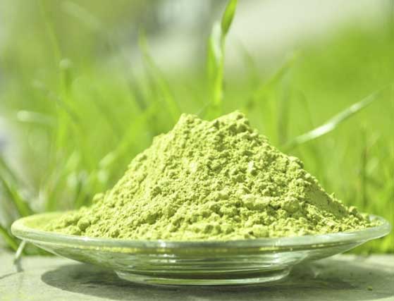 Te verde Matcha